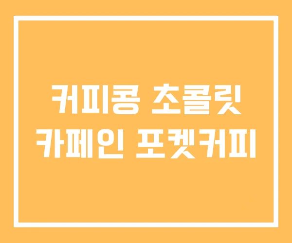 커피콩 초콜릿 카페인 포켓커피