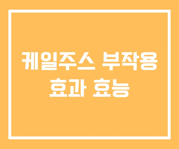 케일주스 부작용 효과 효능 케일주스 부작용 효과 효능