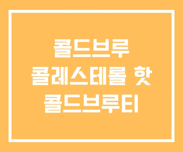 콜드브루 콜레스테롤 핫 콜드브루티
