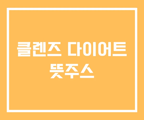 클렌즈 다이어트 뜻주스