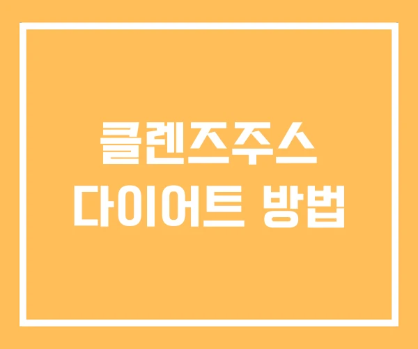 클렌즈주스 다이어트 방법