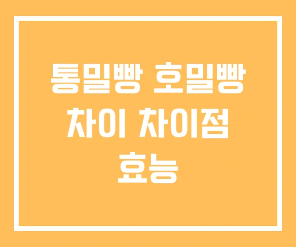 통밀빵 호밀빵 차이 차이점 효능