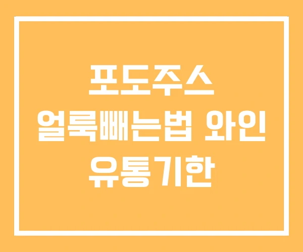 포도주스 얼룩빼는법 와인 유통기한
