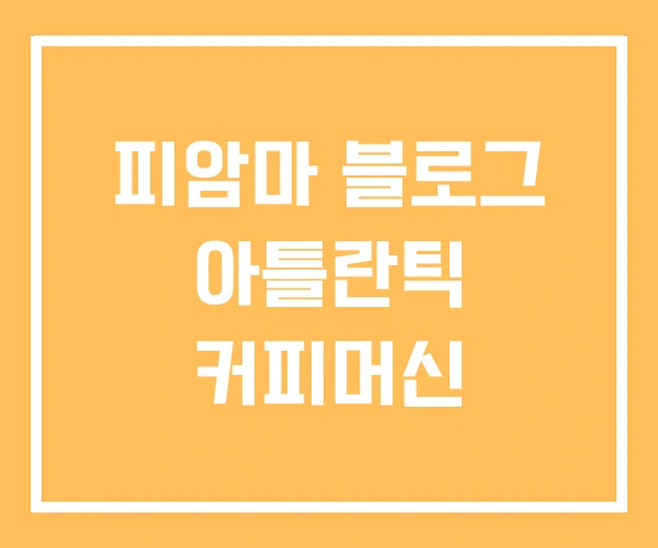 피암마 블로그 아틀란틱 커피머신