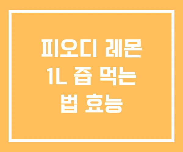 피오디 레몬 1L 즙 먹는 법 효능