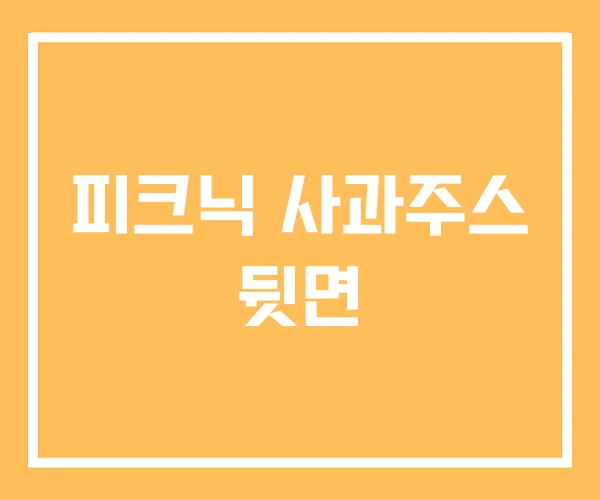 피크닉 사과주스 뒷면
