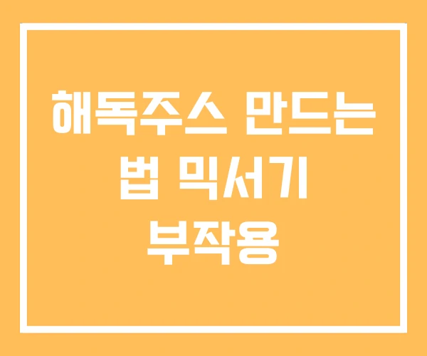 해독주스 만드는 법 믹서기 부작용