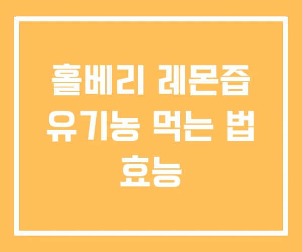 홀베리 레몬즙 유기농 먹는 법 효능